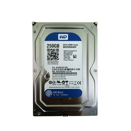 Ổ cứng Western Blue 250GB 3.5″ WD2500AAKX
