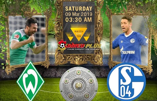 Video Werder Bremen VS Schalke 04 9 3 2019 Highlight, Video tổng hợp trấn đấu Werder Bremen VS Schalke 04 (9 3 2019)