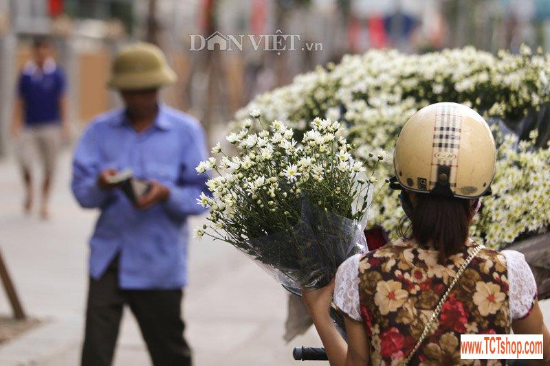 trang tinh khoi cuc hoa mi trong chom dong ha noi8 Khám phá những thiên đường mua sắm cuối năm tại Châu Á