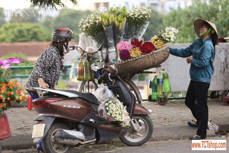 trang tinh khoi cuc hoa mi trong chom dong ha noi9 Khám phá những thiên đường mua sắm cuối năm tại Châu Á